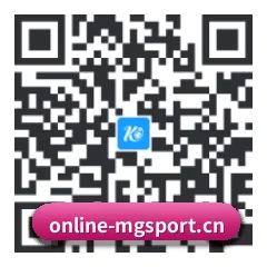 系统版 iOS 二维码